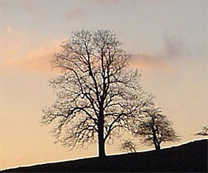 John Speckmann Photography Blowing Rock NC
