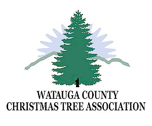 Watauga County Christmas Tree Association Boone NC