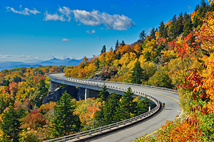 Photos By Meta - Western North Carolina Nature Photography