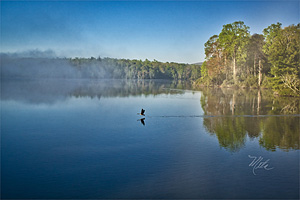 Photos By Meta - Western North Carolina Nature Photography