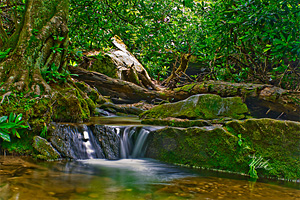 Photos By Meta - Western North Carolina Nature Photography